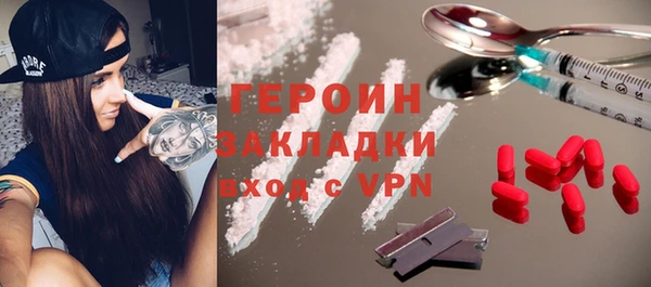 индика Арсеньев