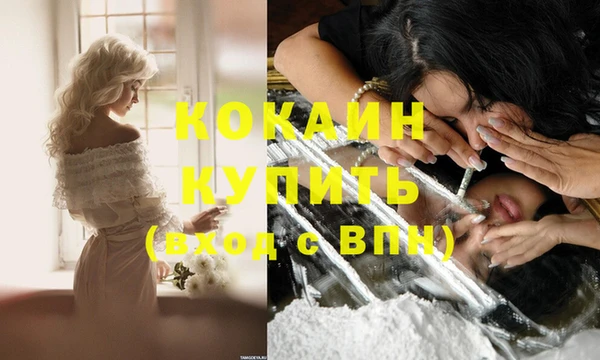 индика Арсеньев