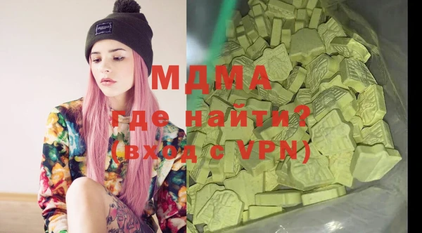 индика Арсеньев