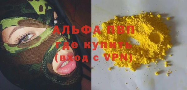 индика Арсеньев