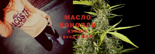 индика Арсеньев
